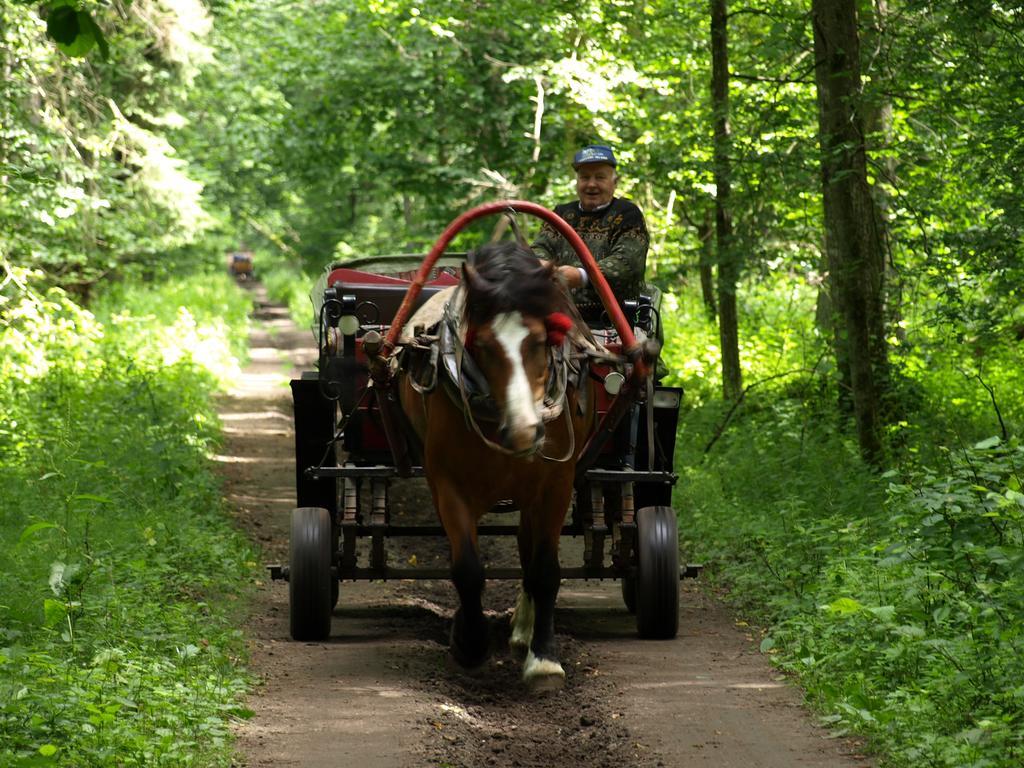 Kwiatowa Zagroda Białowieża Exterior foto
